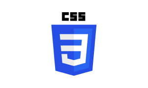 Website Development Company In Bangalore 32 Cascading Style Sheets ( Css ) Logo